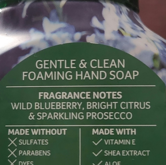 4X Bath & Body Works GARDEN 8.75 FL OZ Hand Soap Bundle - Picture 5 of 5